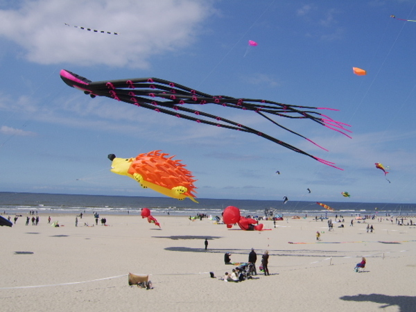 Fête des cerf-volants à Berck-sur-mer